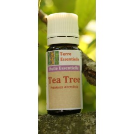 Huile essentielle Tea Tree