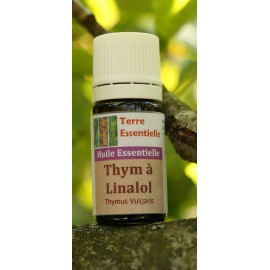 Huile essentielle Thym linalol