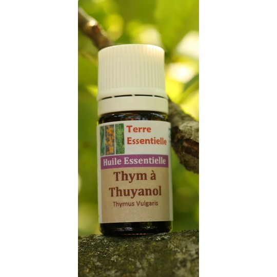 Huile essentielle Thym Thuyanol
