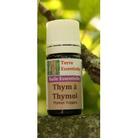 Huile essentielle Thym thymol