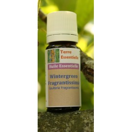 Huile essentielle Wintergreen fragrantissima