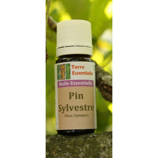 Huile essentielle Pin sylvestre
