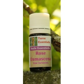 Huile essentielle Rose damascena