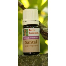 Huile essentielle Santal
