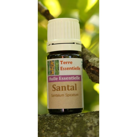Huile essentielle Santal