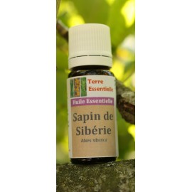 Huile essentielle Sapin de sibérie