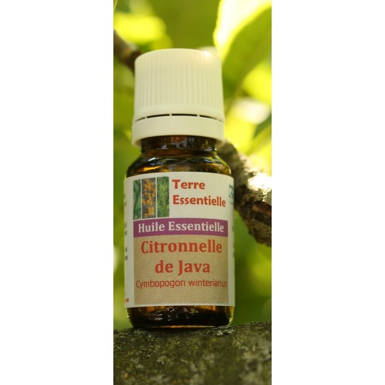 Huile essentielle Citronnelle de java