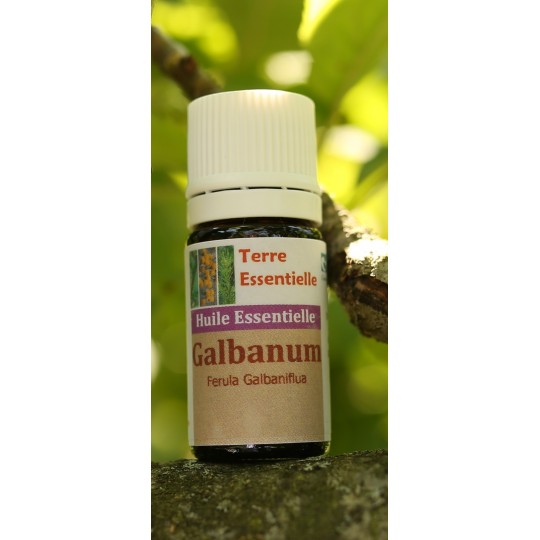 Huile essentielle Galbanum