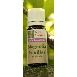 Huile essentielle Magnolia feuilles