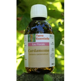 Hydrolat Cardamome