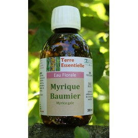 Hydrolat Myrique baumier