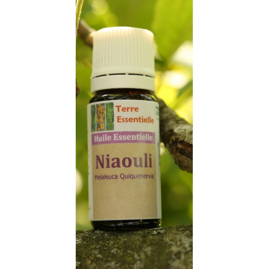 Huile essentielle Niaouli