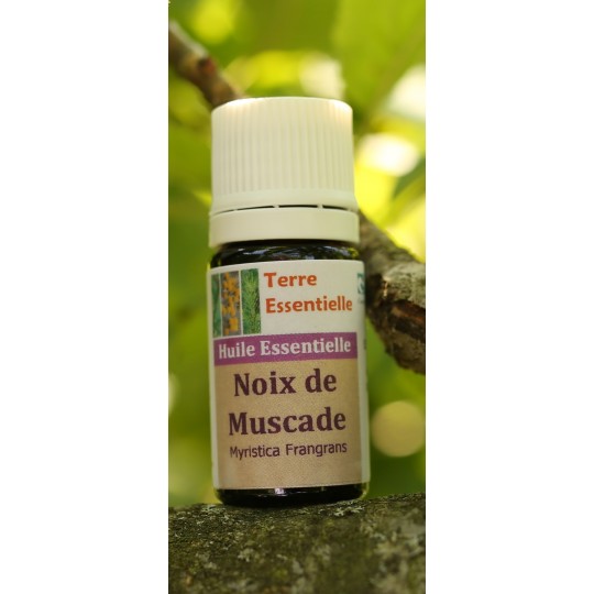 Huile essentielle Noix de muscade