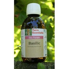 Hydrolat Basilic