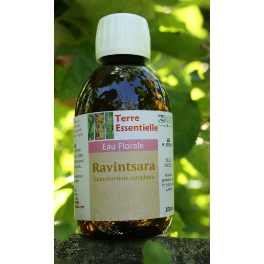 Hydrolat Ravintsara