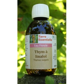 hydrolat Thym à linalol