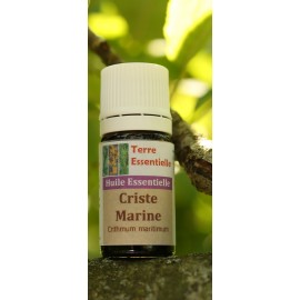 Huile essentielle Criste marine