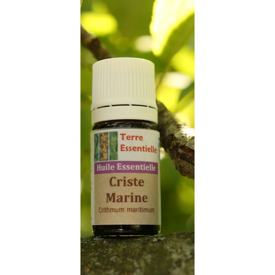 Huile essentielle Criste marine