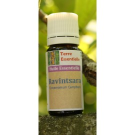 Huile essentielle Ravintsara