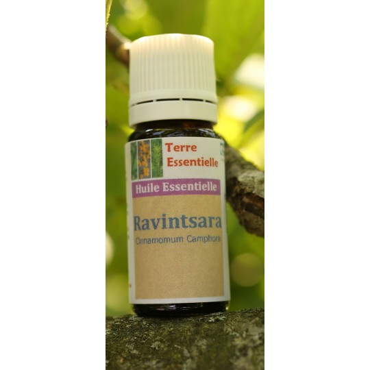 Huile essentielle Ravintsara