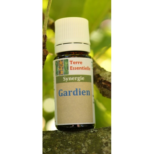 Synergie d'huiles essentielles Gardien