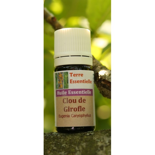Huile essentielle Clou de girofle