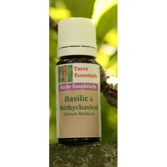 Huile essentielle Basilic méthychavicol