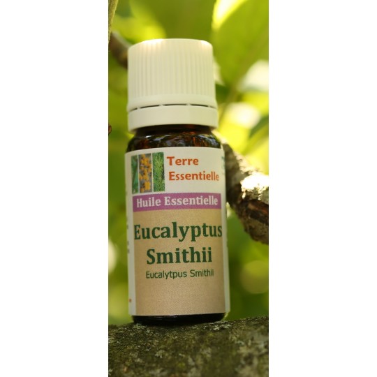 Huile essentielle Eucalyptus smithii