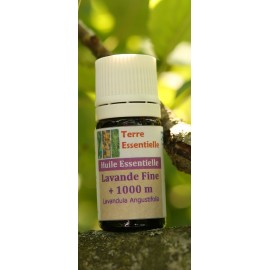 Huile essentielle Lavande fine 1700
