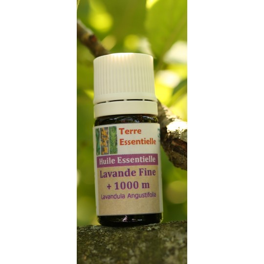 Huile essentielle Lavande fine 1700