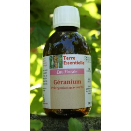 Hydrolat Géranium