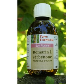 Hydrolat Romarin à vérbénone