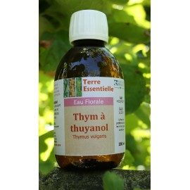 Hydrolat Thym à thuyanol