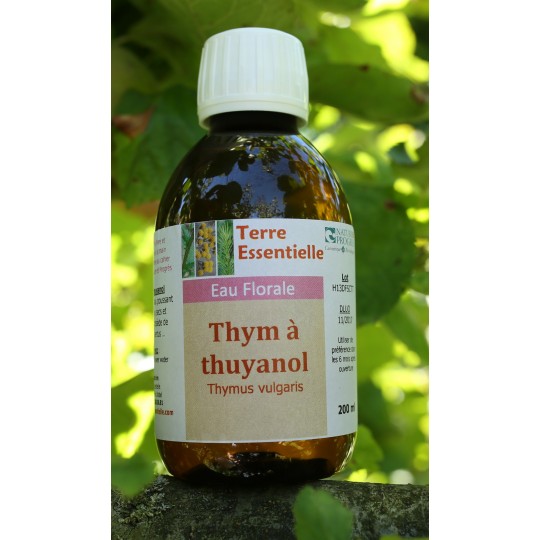 Hydrolat Thym à thuyanol