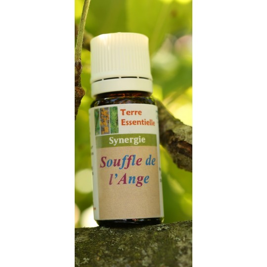 Synergie d'huiles essentielles Souffle de l’ange