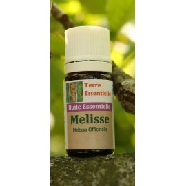 Huile essentielle Mélisse