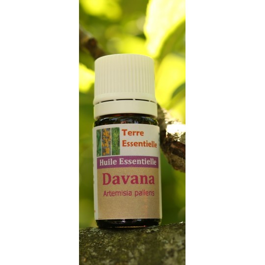 Huile essentielle Davana