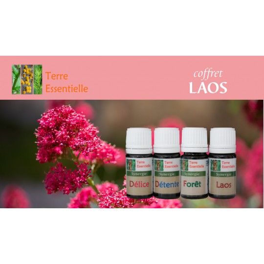 Coffret Laos 4 Synergies d'huiles essentielles