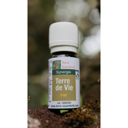 Synergie d'huiles essentielles Terre de vie