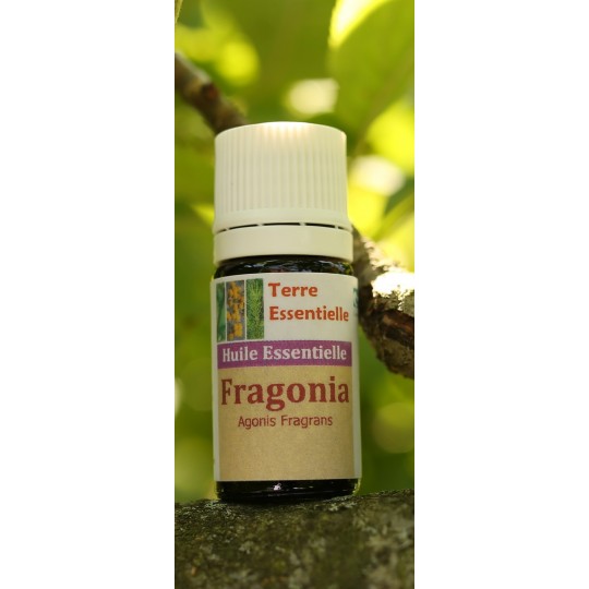 Huile essentielle Fragonia
