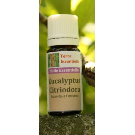 Huile essentielle Eucalyptus citriodora