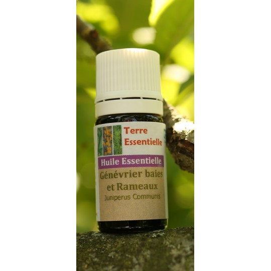 Huile essentielle Genévrier baies et rameaux