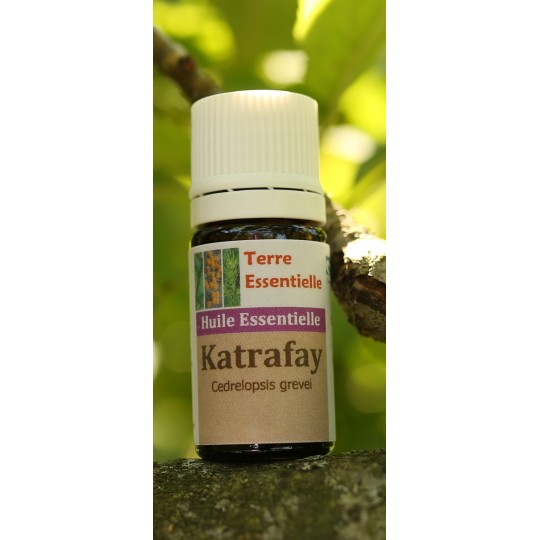 Huile essentielle Katrafay