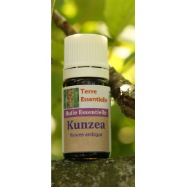 Huile essentielle Kunzéa