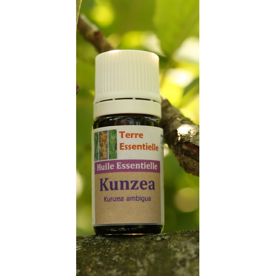 Huile essentielle Kunzéa