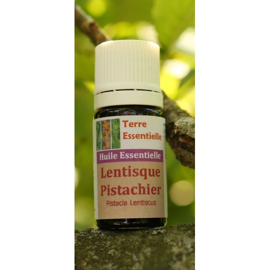Huile essentielle Lentisque pistachier
