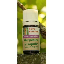 Huile essentielle Marjolaine à coquille