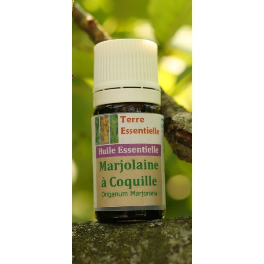 Huile essentielle Marjolaine à coquille