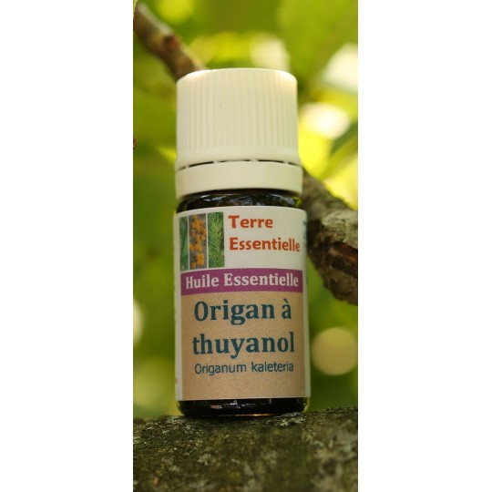 Huile essentielle Origan à thuyanol
